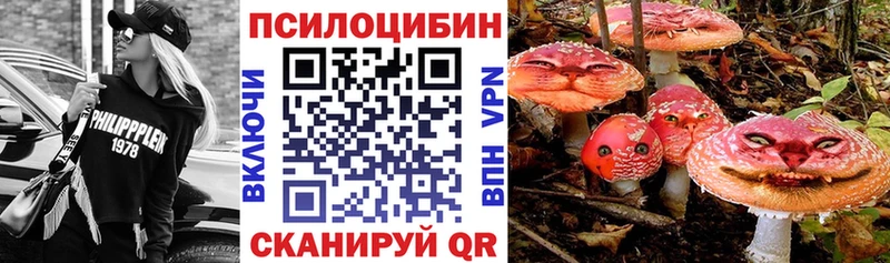 Псилоцибиновые грибы мицелий  Яблоновский 